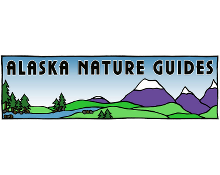 Alaska Nature Guides